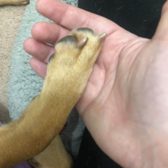 Meet your Posher, Kim - Picture 1 of 1